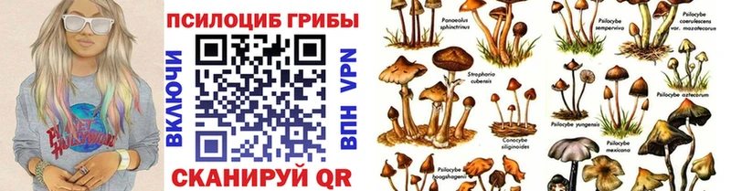 Купить  Ленинск-Кузнецкий  Галлюциногенные грибы Magic Shrooms 